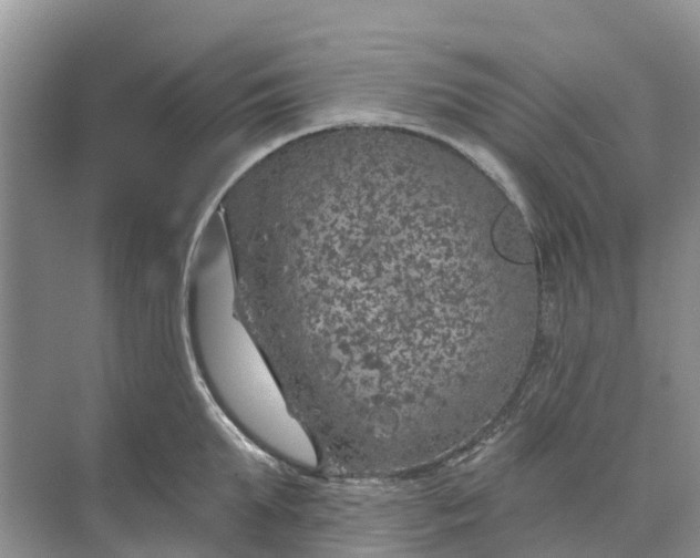 X0000074960903200609152053