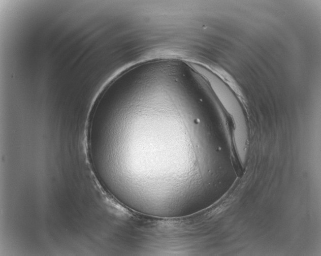 X0000074960904200609152053