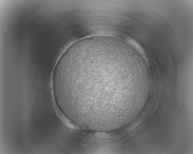 X0000074960907200609152053