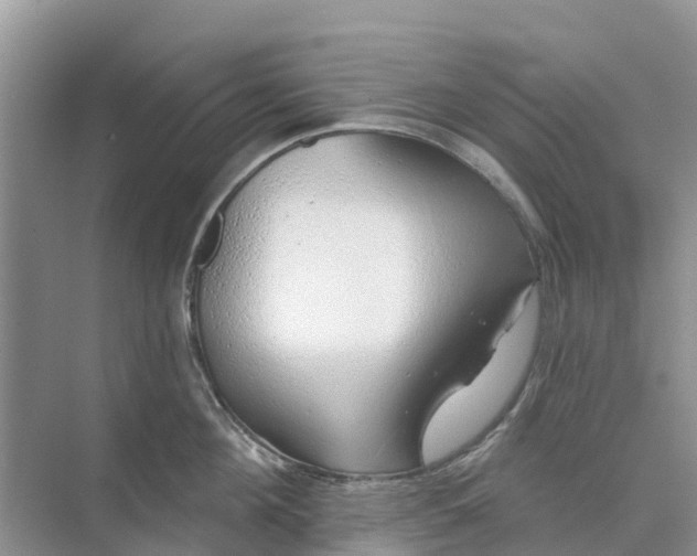 X0000074960908200609152053