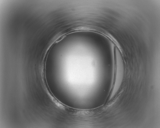 X0000074960909200609152053