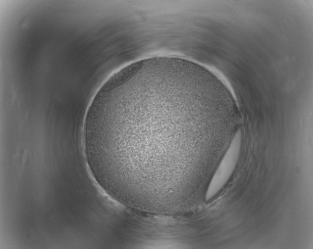 X0000074960911200609152053