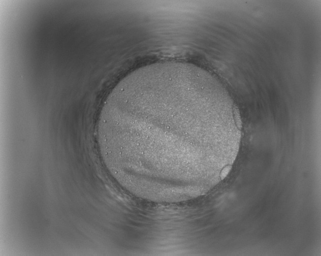 X0000074960913200609152052