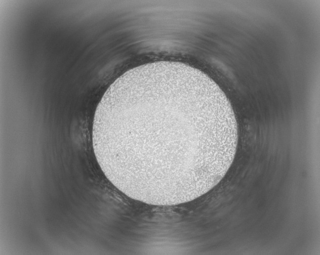 X0000074960918200609152052