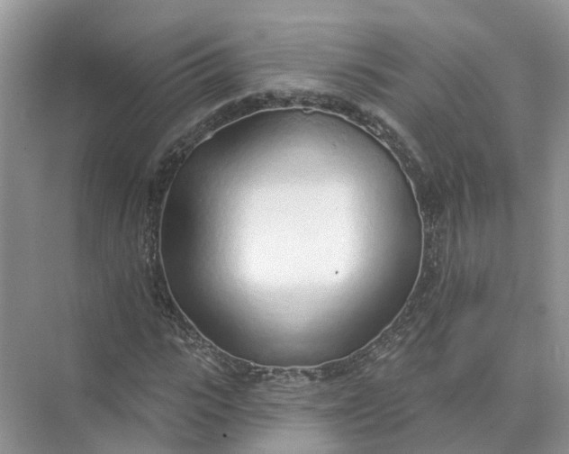 X0000074960919200609152052