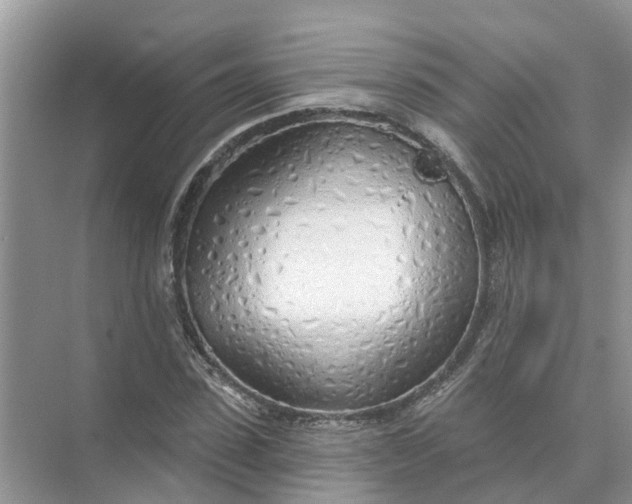 X0000074960923200609152052