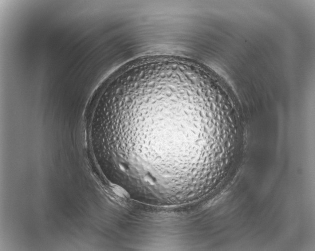 X0000074960925200609152052