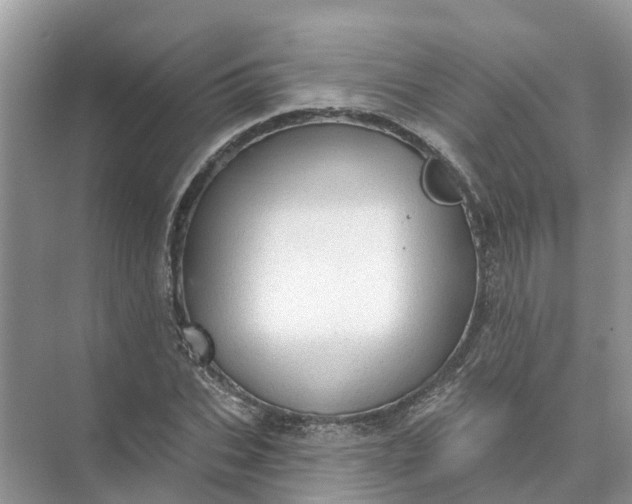 X0000074960927200609152052