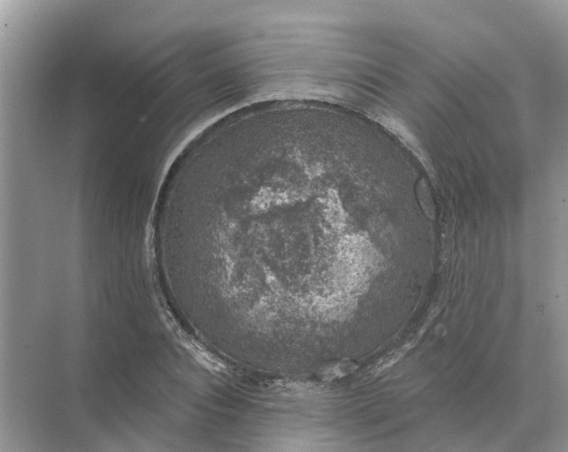 X0000074960928200609152053