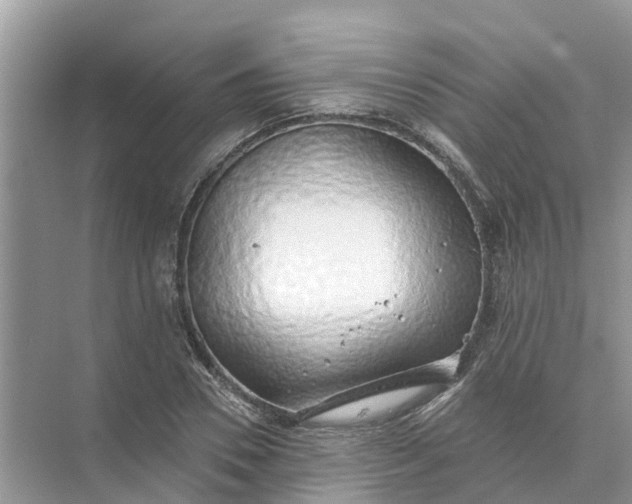 X0000074960930200609152053