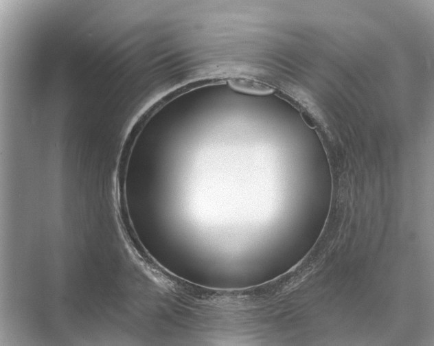 X0000074960936200609152053