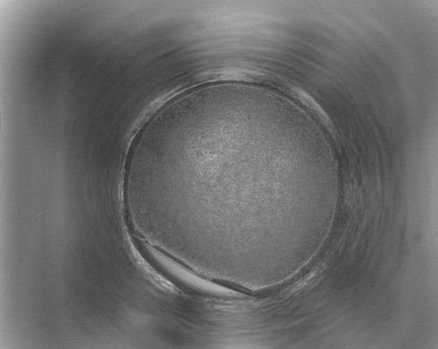 X0000074960938200609152053