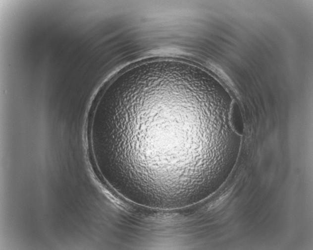 X0000074960939200609152053