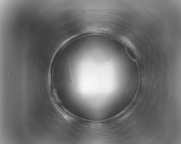 X0000074960940200609152053