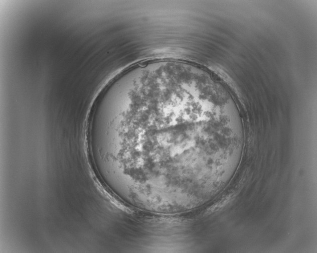 X0000074960941200609152053