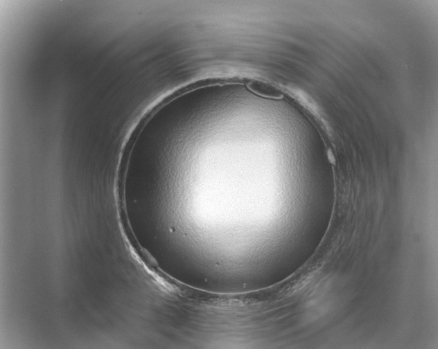 X0000074960943200609152053