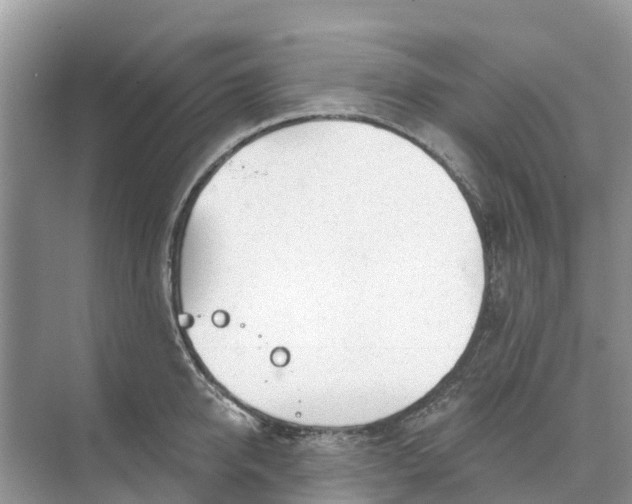 X0000074960950200609152053