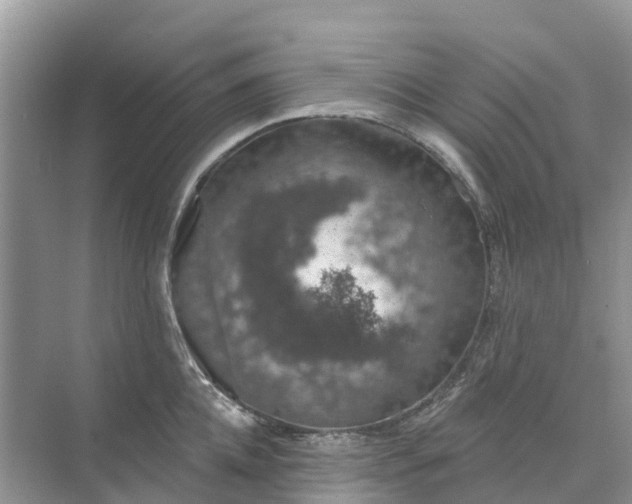 X0000074960952200609152053