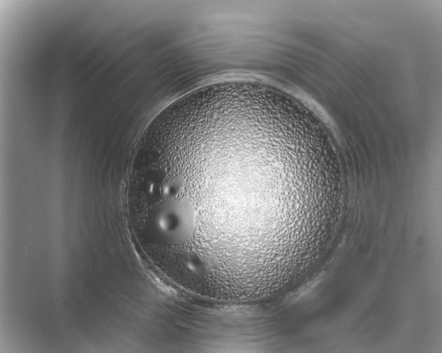 X0000074960953200609152053