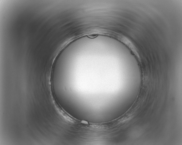 X0000074960954200609152053