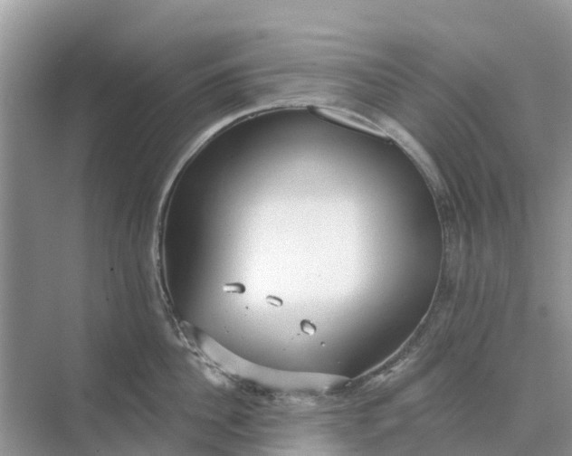 X0000074960956200609152053