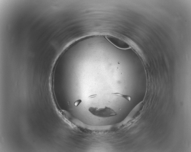 X0000074960958200609152053