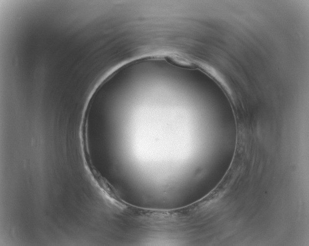 X0000074960959200609152053