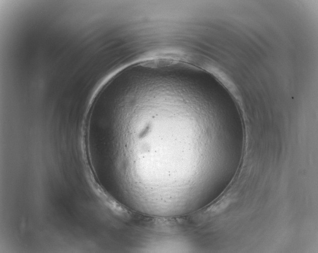 X0000074960960200609152053