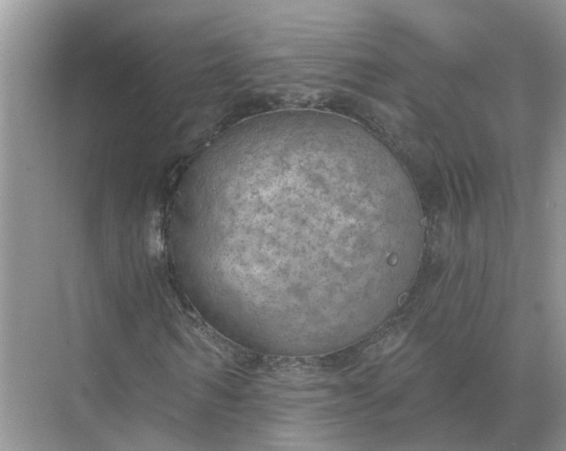 X0000074960962200609152052