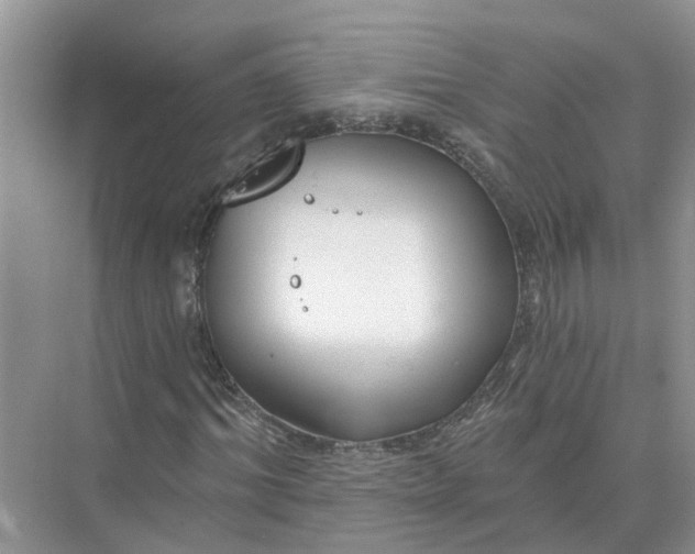 X0000074960964200609152052