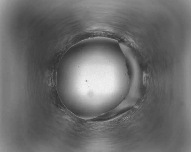 X0000074960965200609152052