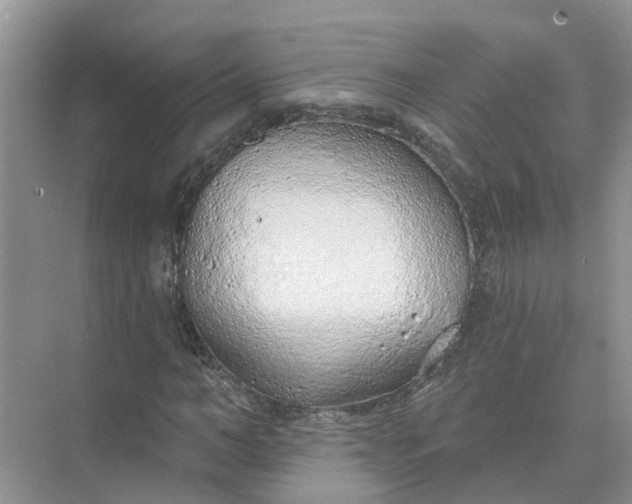 X0000074960966200609152052