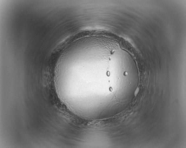 X0000074960967200609152052