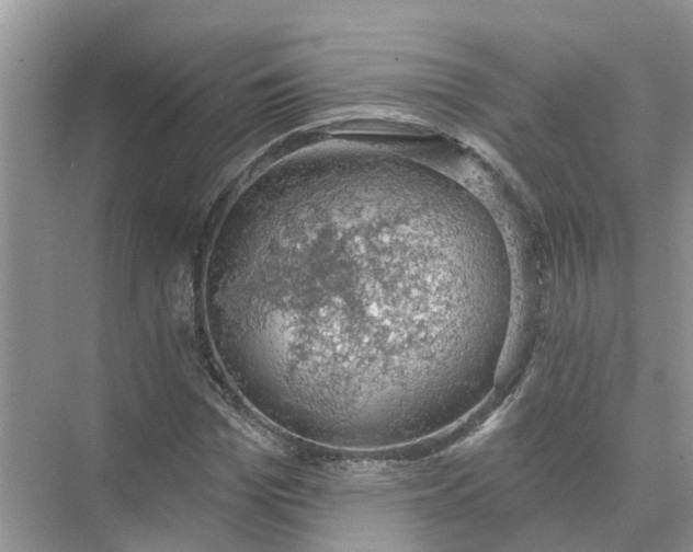 X0000074960969200609152052