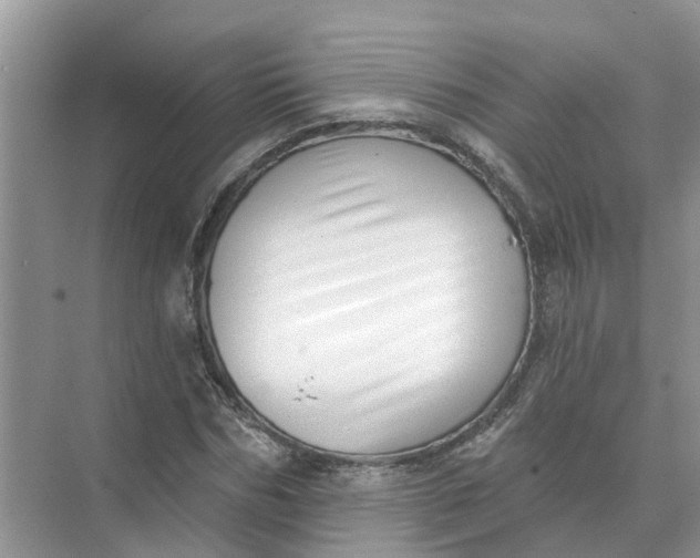 X0000074960970200609152052