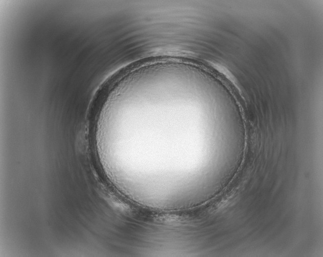 X0000074960971200609152052