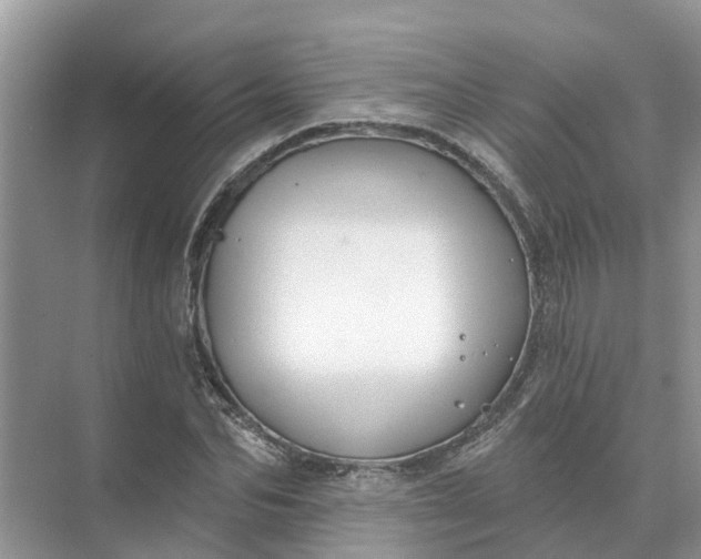 X0000074960974200609152052