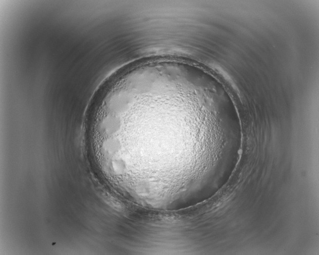 X0000074960975200609152052