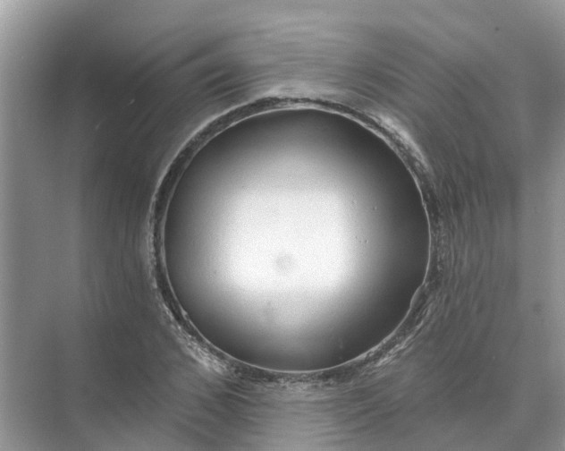 X0000074960976200609152052