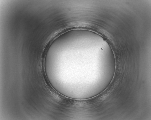 X0000074960978200609152052