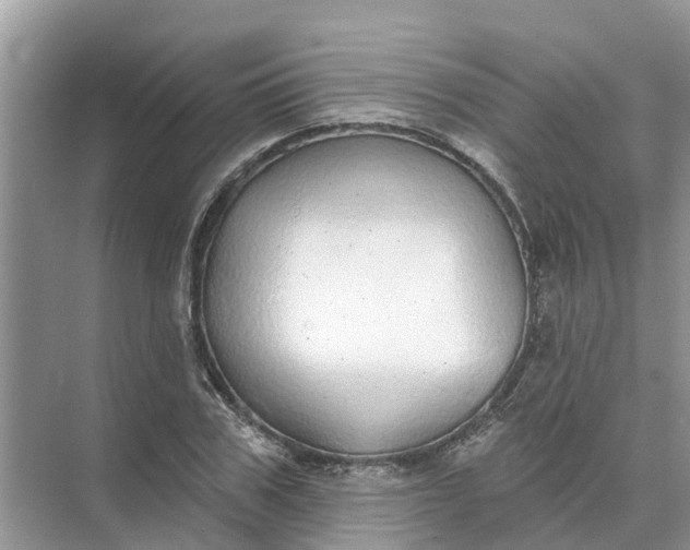 X0000074960979200609152052