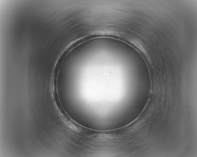 X0000074960984200609152052