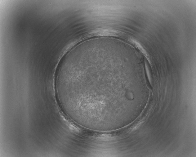 X0000074960986200609152052