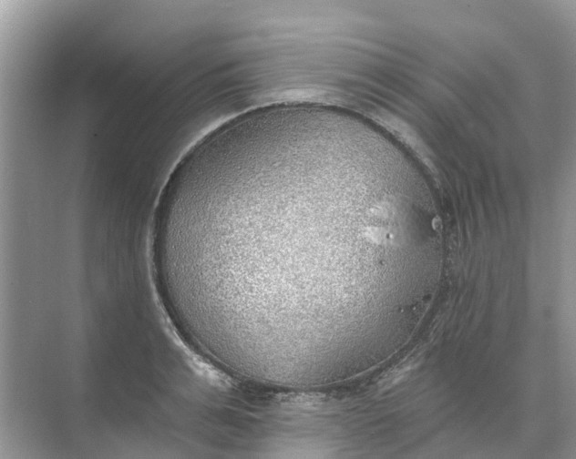 X0000074960991200609152052