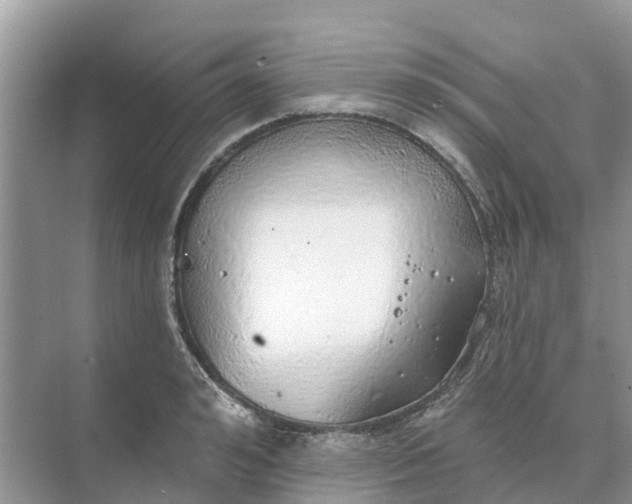 X0000074960992200609152052