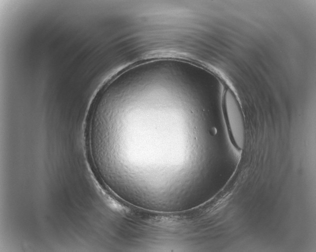 X0000074960995200609152052