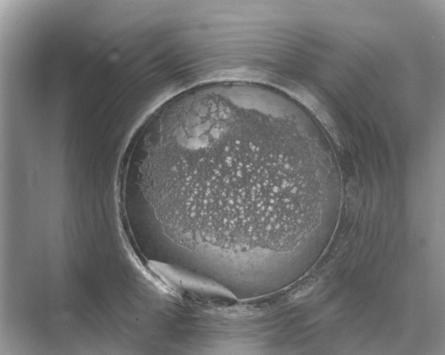 X0000074960998200609152052