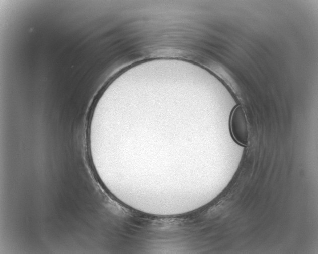 X0000074961000200609152052