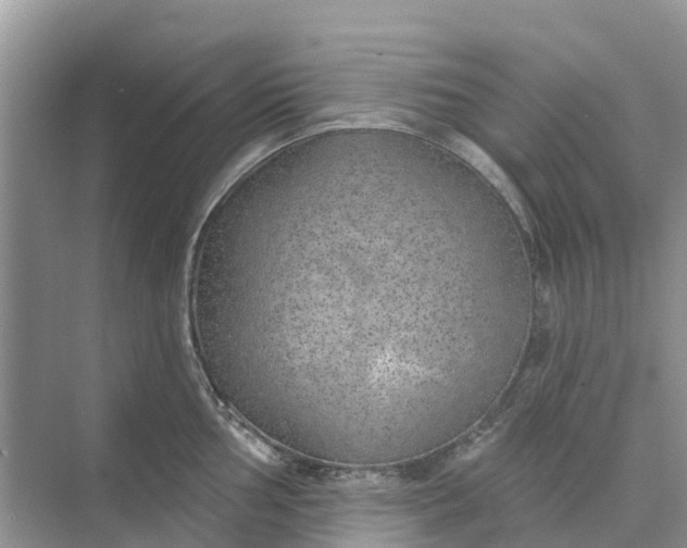 X0000074961002200609152052