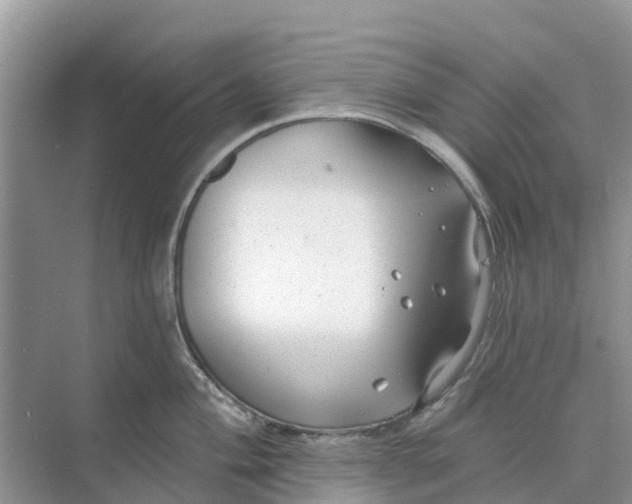 X0000074961004200609152052